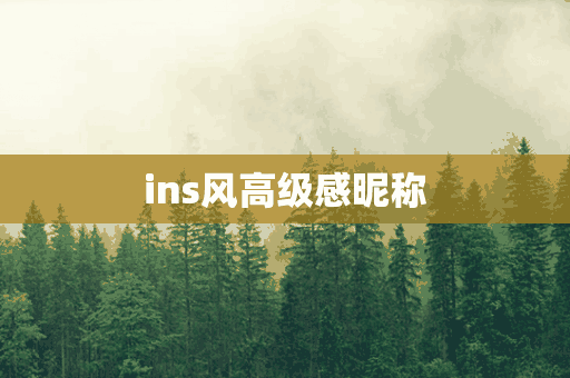 ins风高级感昵称(ins风高级感昵称二字)